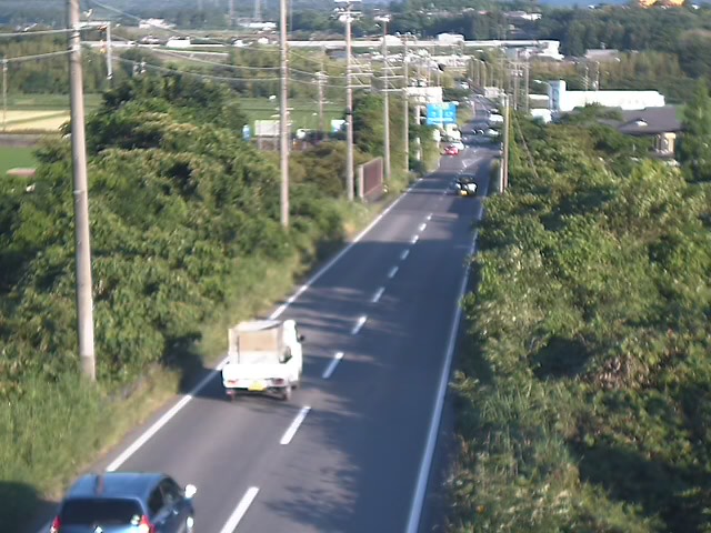 県道49号（柏野）映像