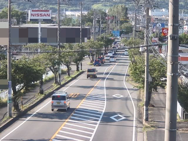 県道138号（平野北谷桜並木）映像