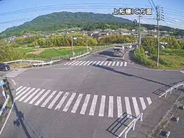 国道25号（上柘植交差点）映像